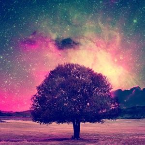 Meet your Posher, Sophia